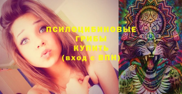 тгк Абаза