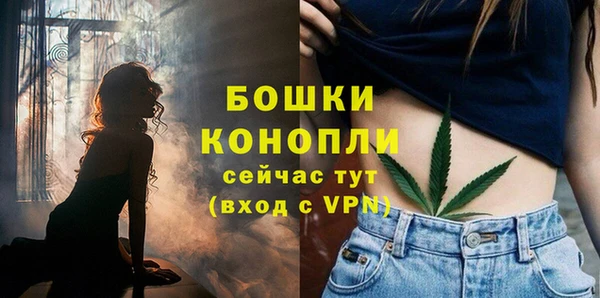 дмт Покачи