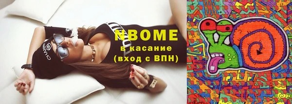 тгк Абаза