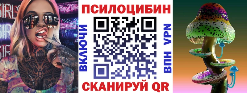 где продают   Лысково  Галлюциногенные грибы Psilocybe 